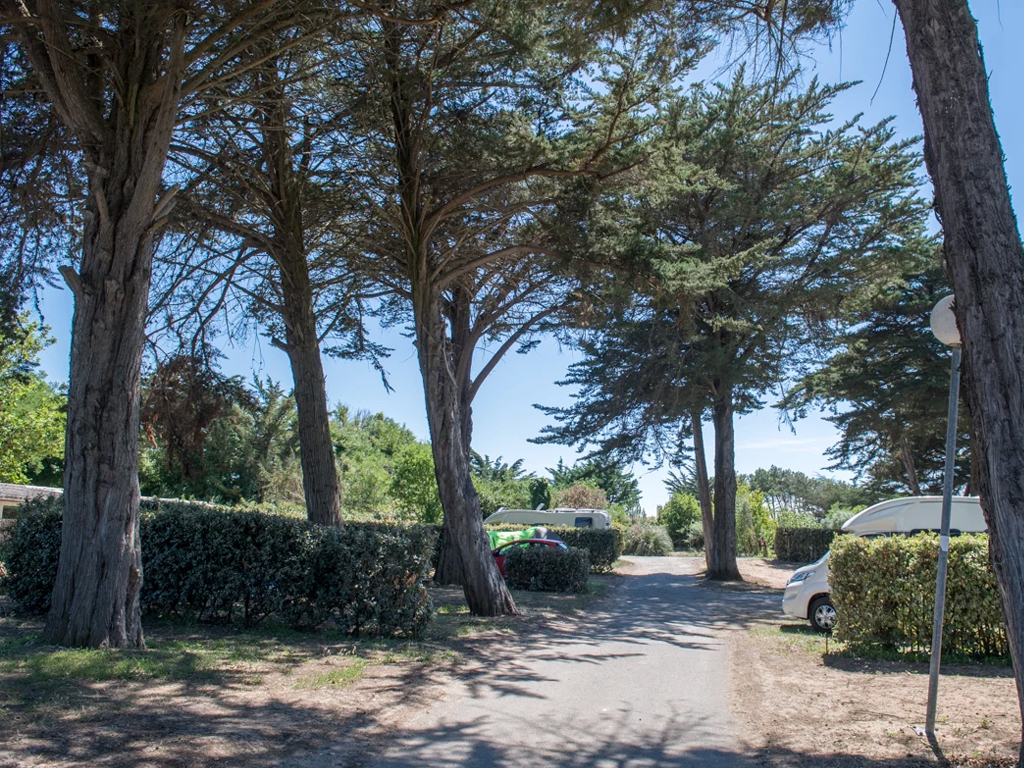 Camping Les Grenettes 5