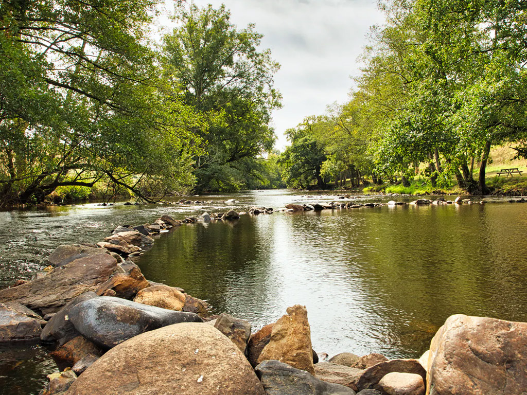 Camping Aimee Porcher 12