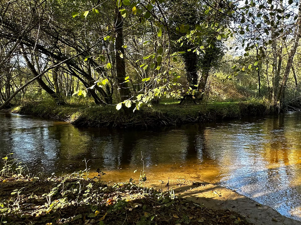 Camping Moulin De La Geneste 8