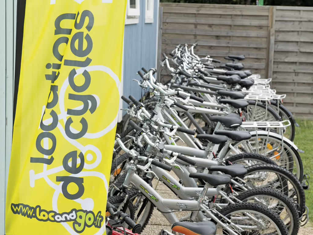 Camping Domaine D Oleron 4