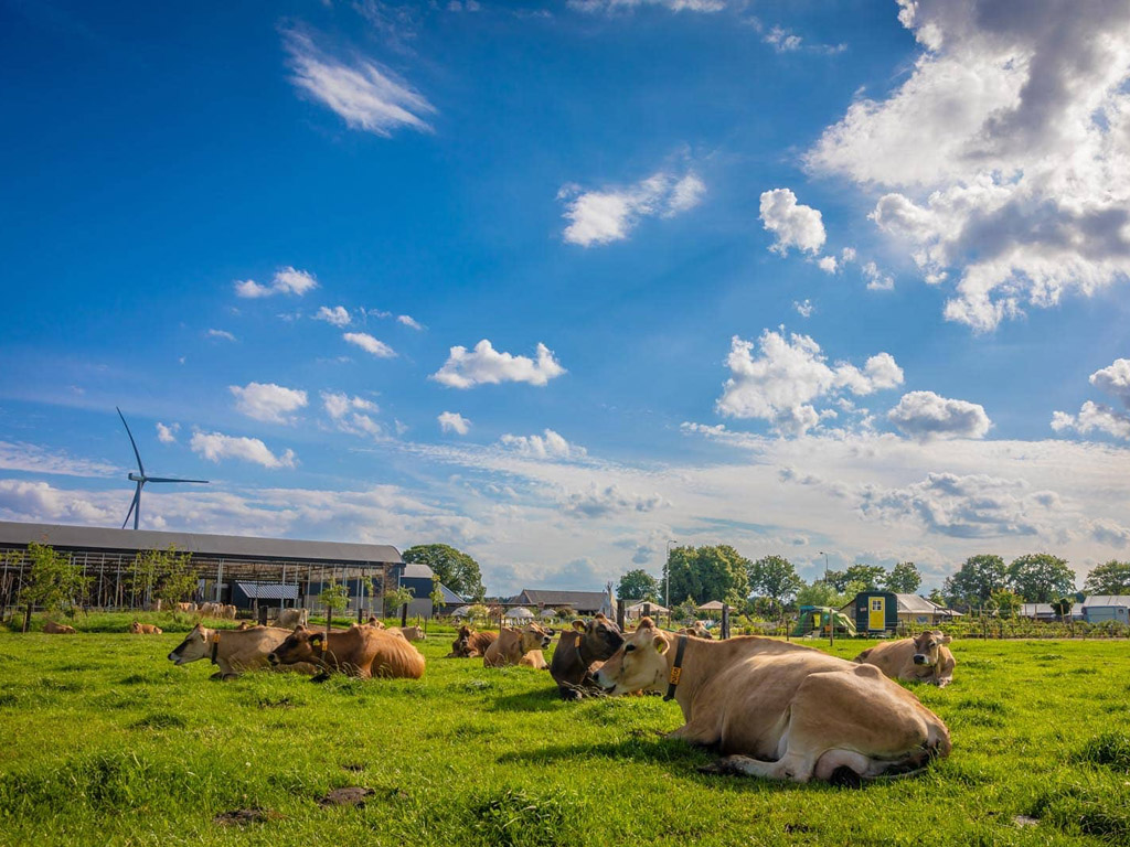 Farmcamps Boebadoe 9