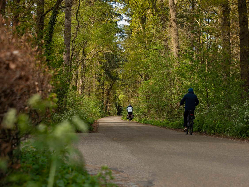 Camping Darthuizen 8