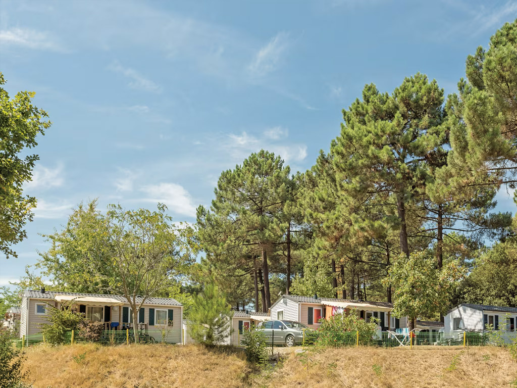 Camping Palmyre Loisirs 7