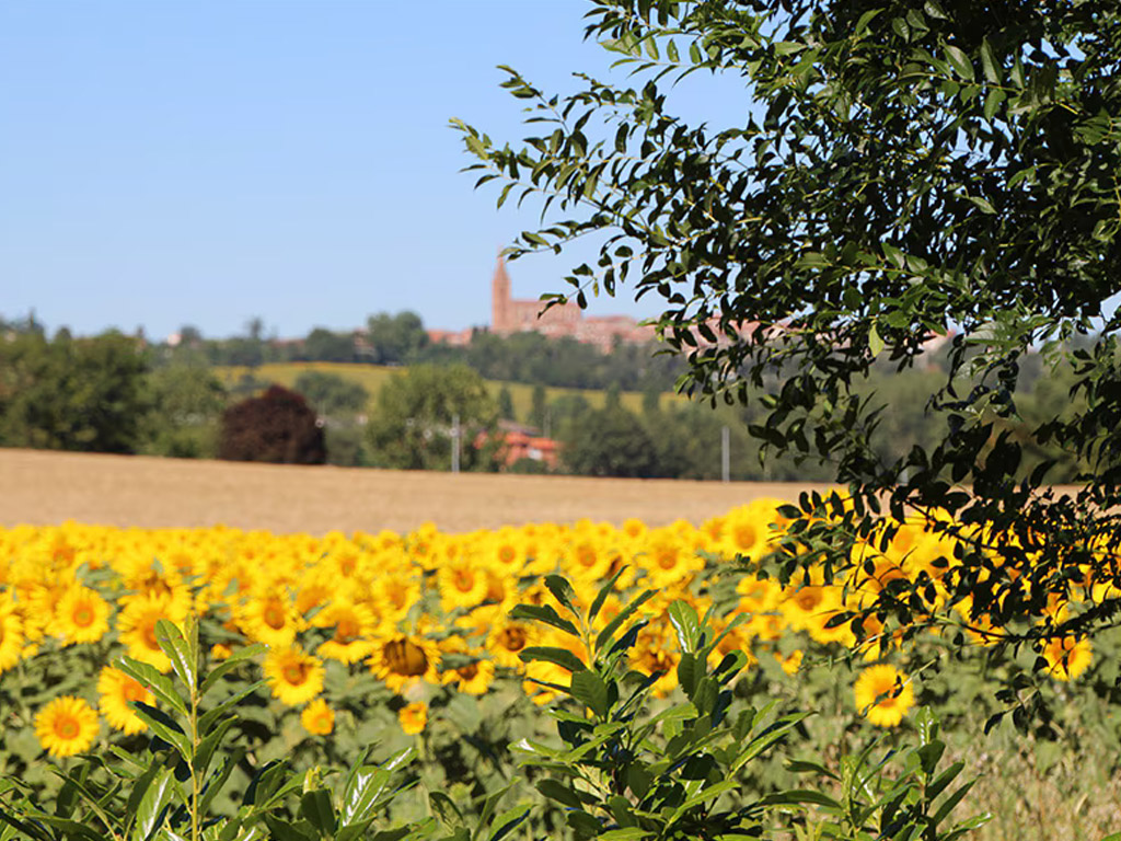 Camping Naturiste Les Aillos 2
