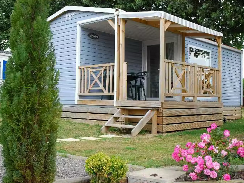 Flower Camping Vitamin 4