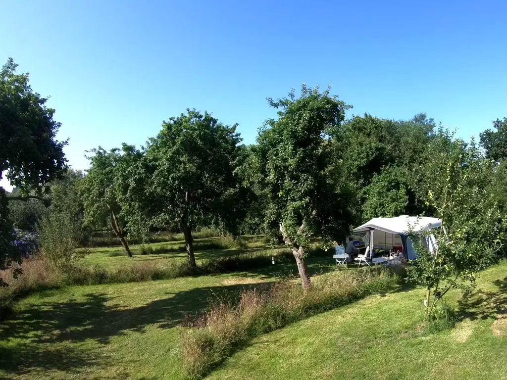 Camping in einer Apfelplantage in der Bretagne