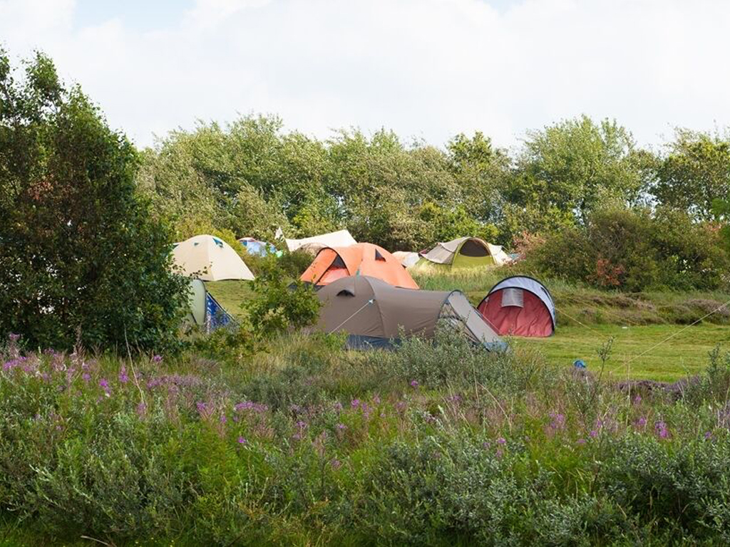 Camping Roosdunen 2