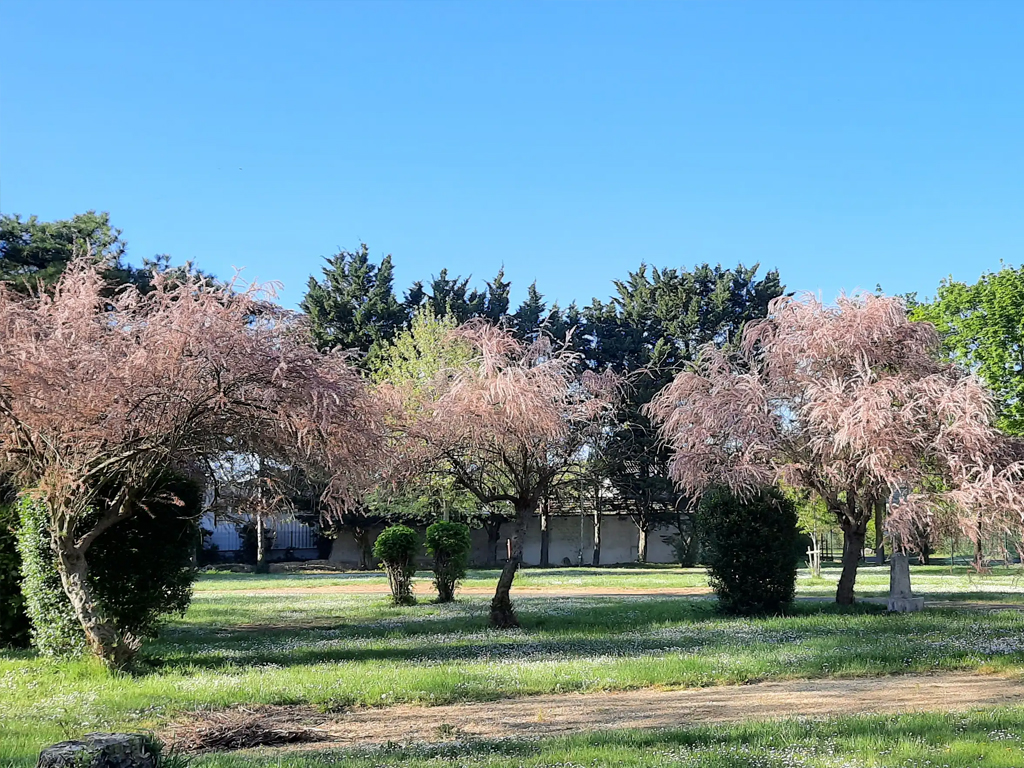 Camping La Belle Etoile 10