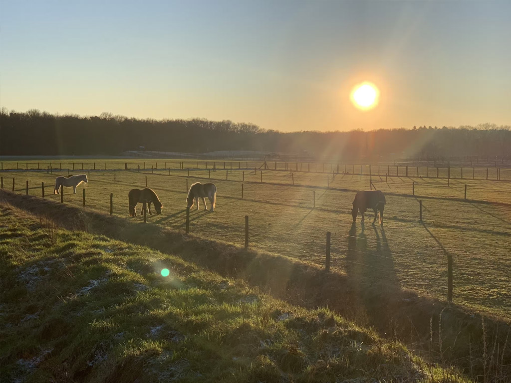 Camping Duynparc Soest 5