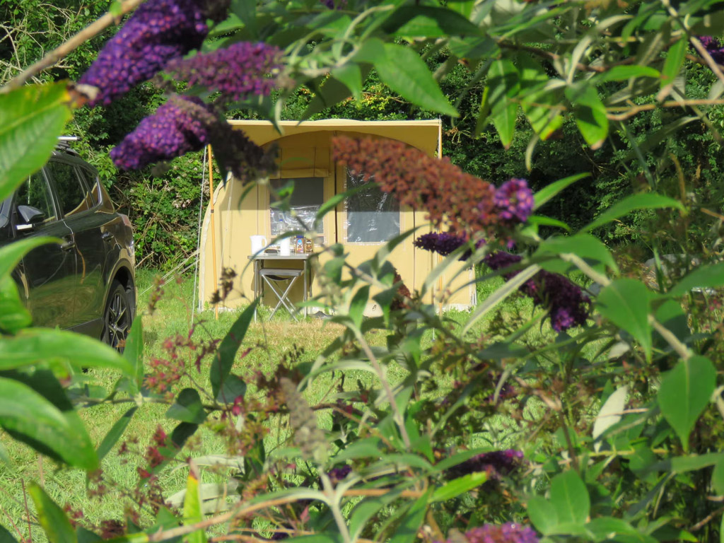 Camping Le Coq Hardi 5