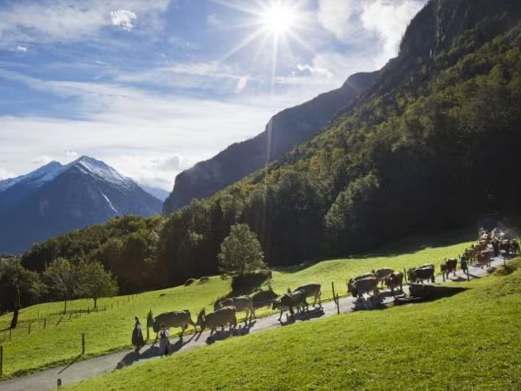 Camping Aareschlucht 5