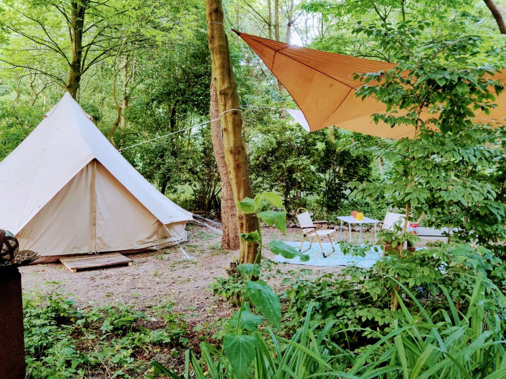 Cleygaerd Natuurcamping 2