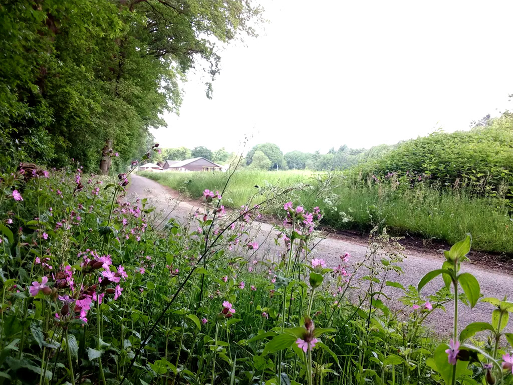 Stimmungsvoller christlicher Bauernhof-Campingplatz im Herzen der Veluwe