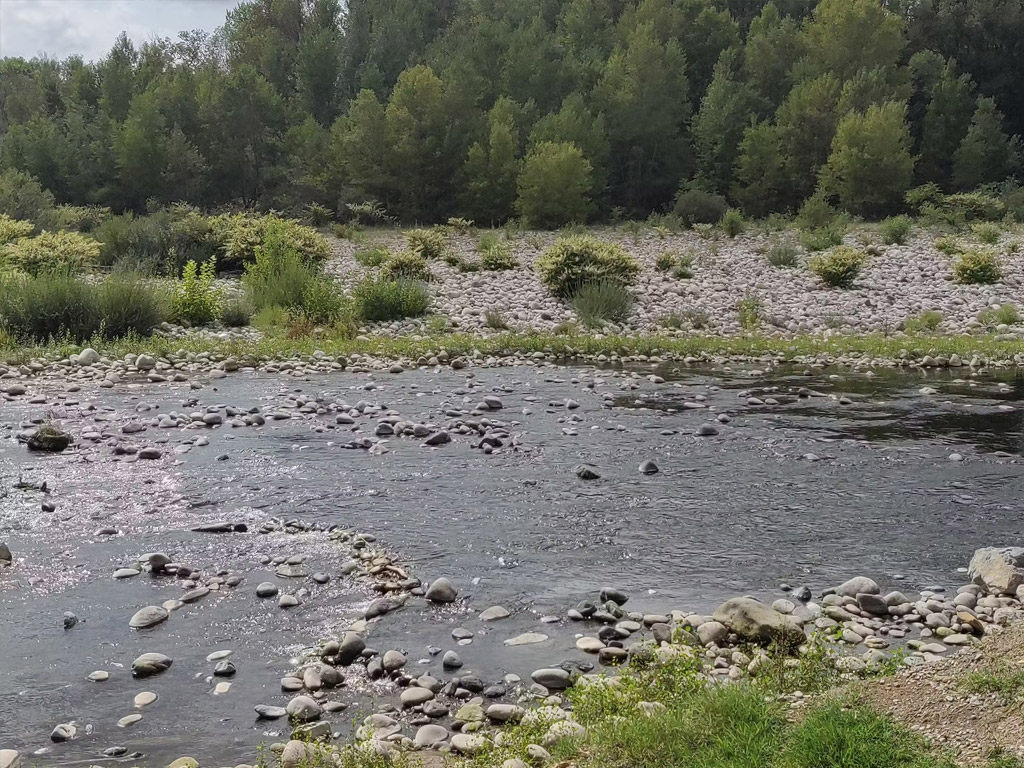Flower Camping Le Plan D Eau 6