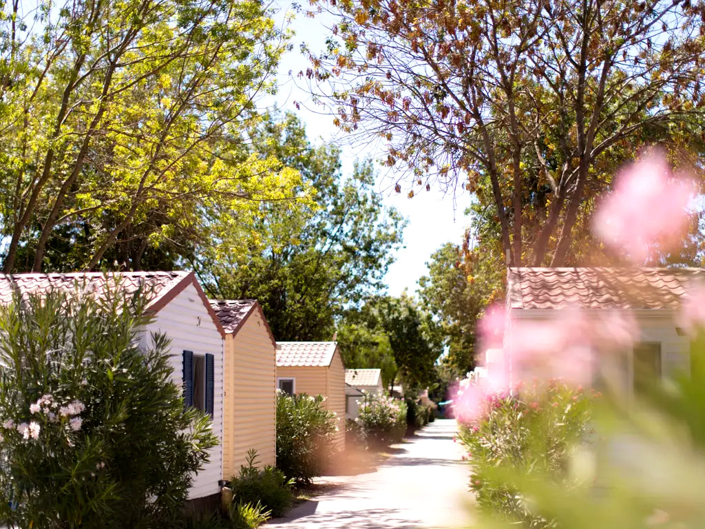 Entdecken Sie diesen schönen Campingplatz in Südfrankreich