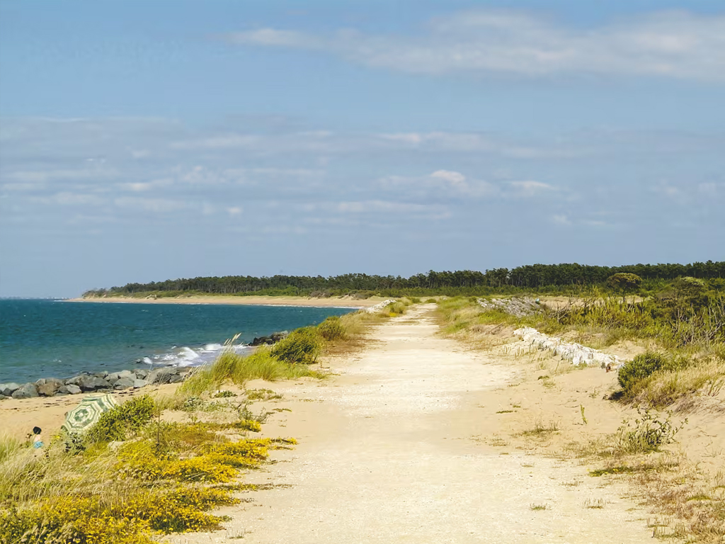Camping Domaine D Oleron 2