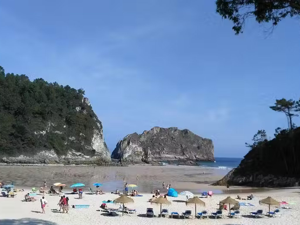 Camping Hortensias 4