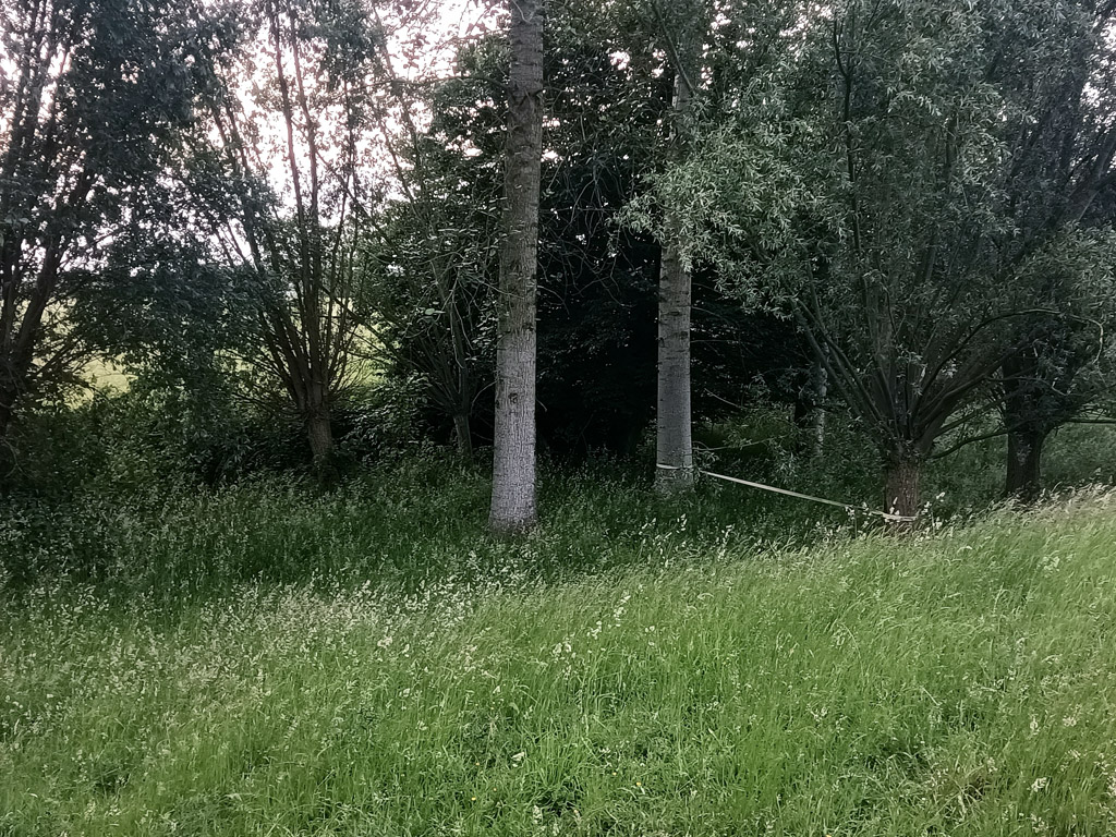 Hoeve Op Den Mierhoop 8