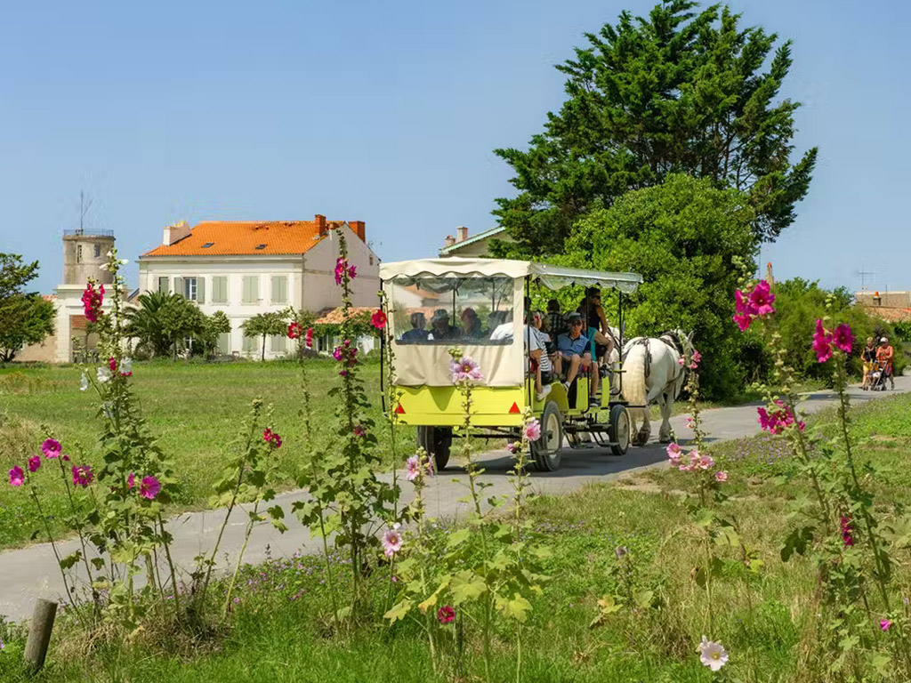 Camping Paradise Domaine Les Charmilles 5