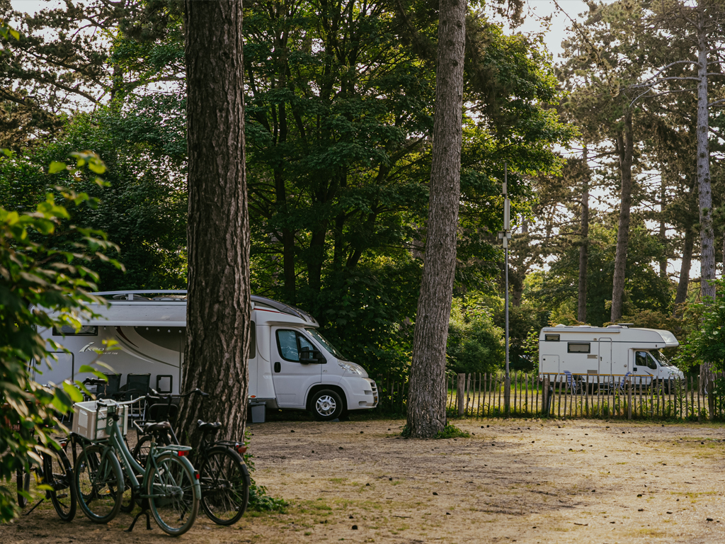 Kennemer Duincamping Bakkum 8