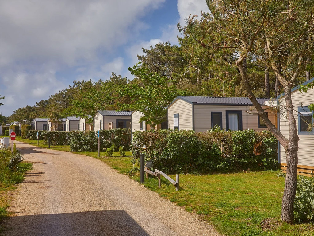 Camping Chardons Bleus De La Turballe 8