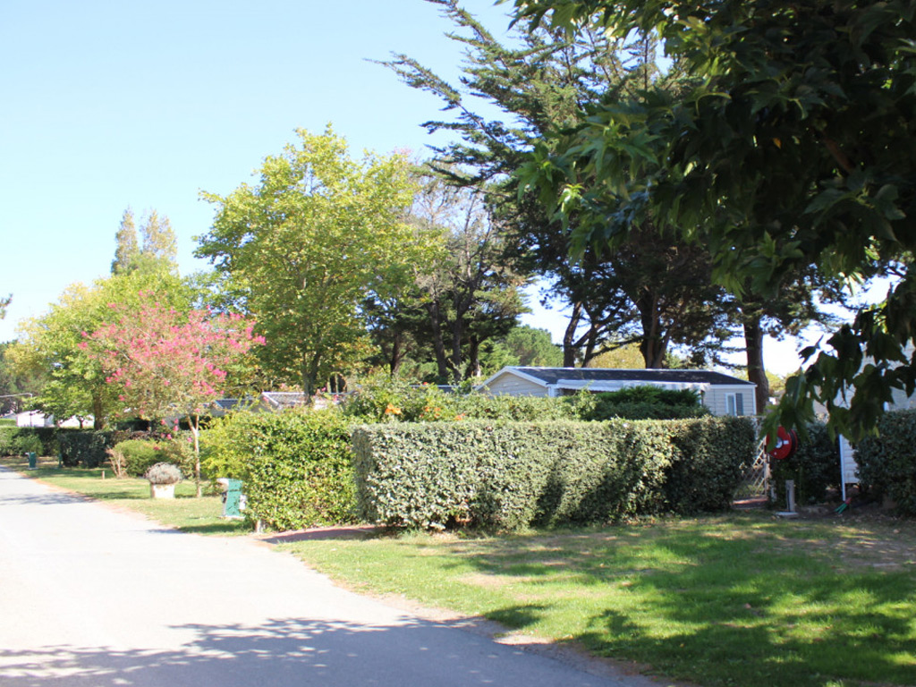 Camping Le Chaponnet 12