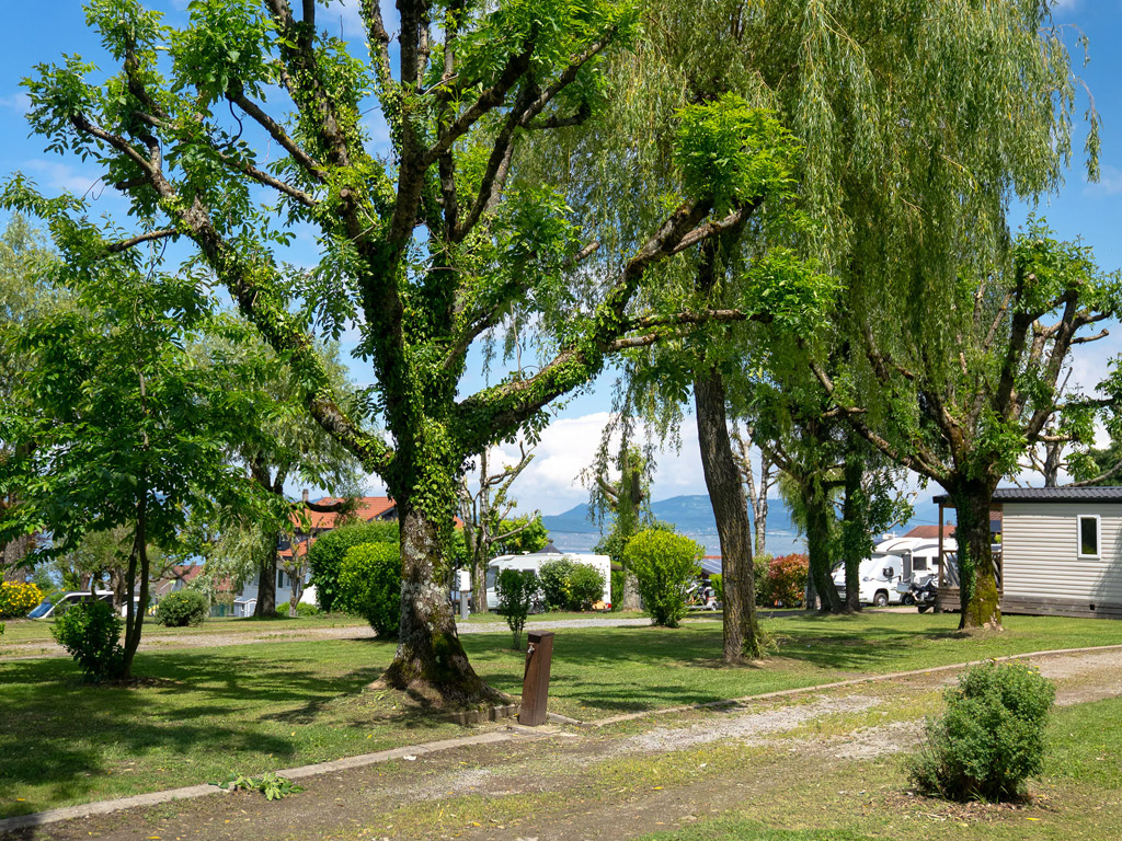 Camping La Vieille Eglise 9
