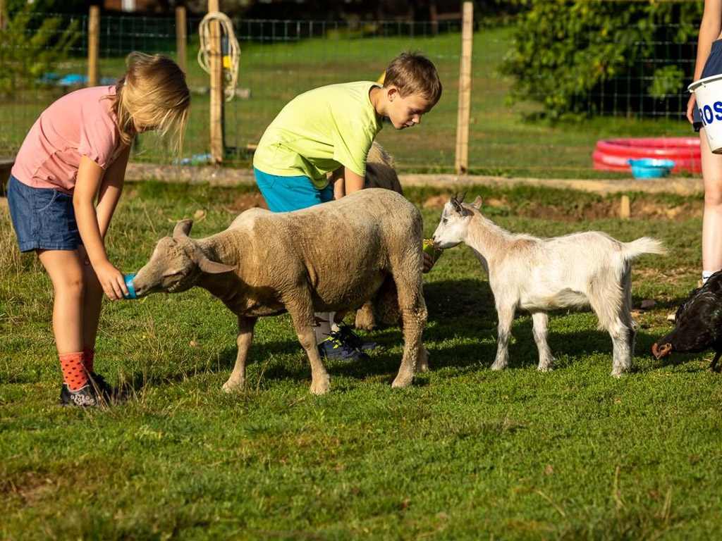 Camping Morvan Rustique 4