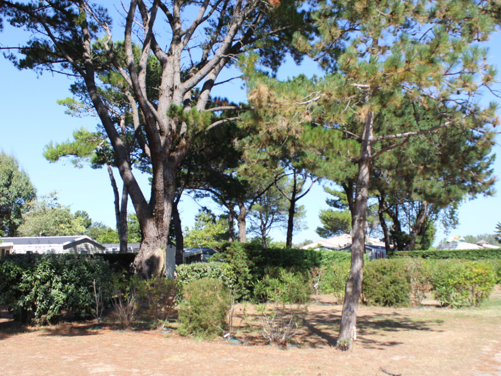 Camping Le Chaponnet 8