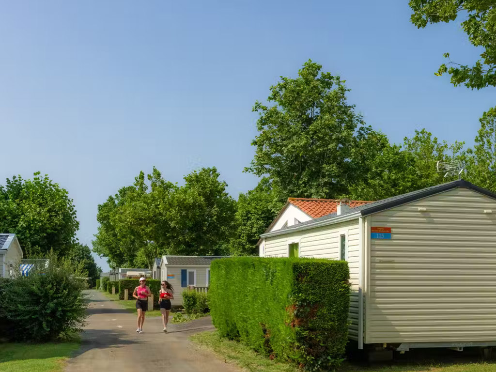 Camping Paradise Domaine Les Charmilles 3