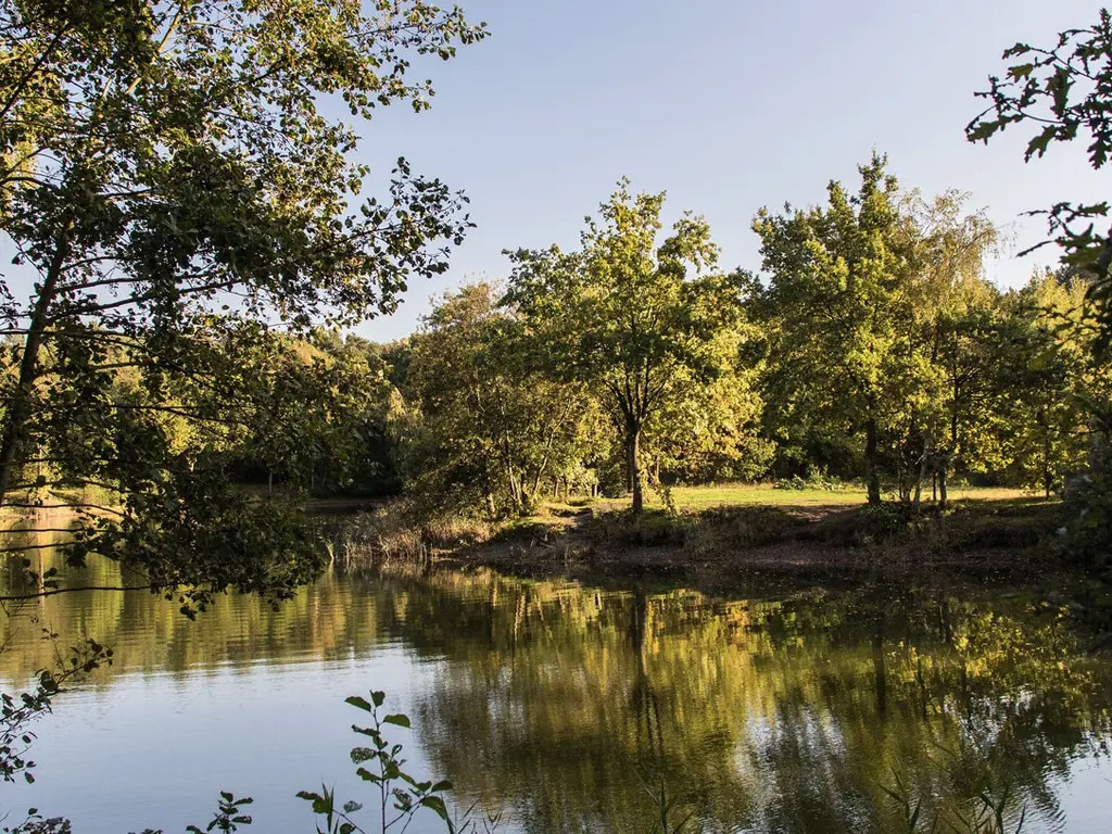 Campingplatz mit schönem Außenpool mit Kinderbecken