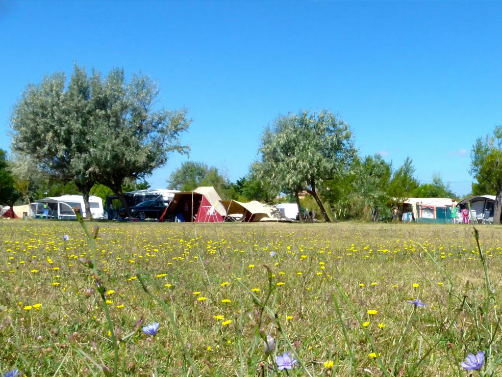 Camping Felix De La Bastide 5