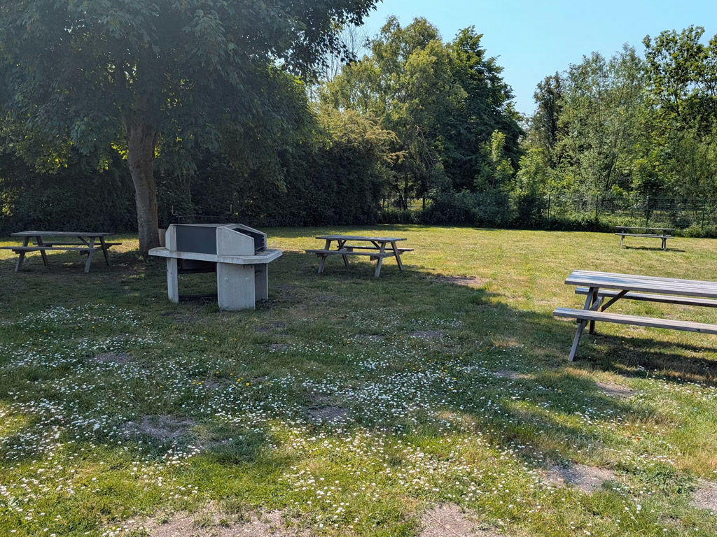 Camping Parc Des Cygnes 4