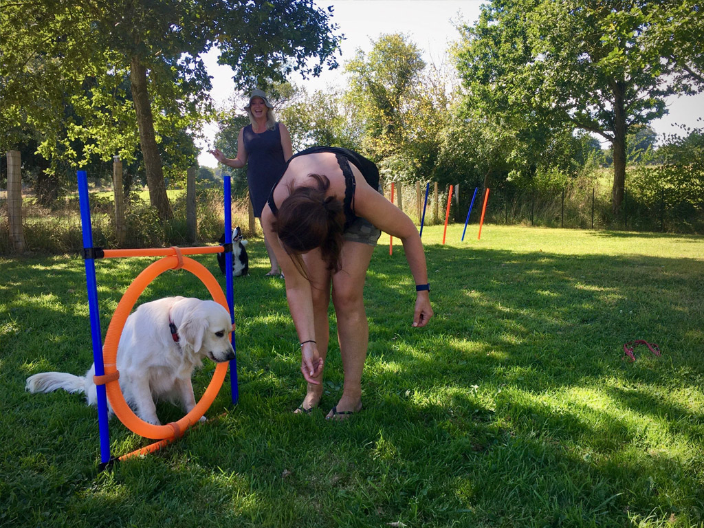 Camping La Petitiere 6