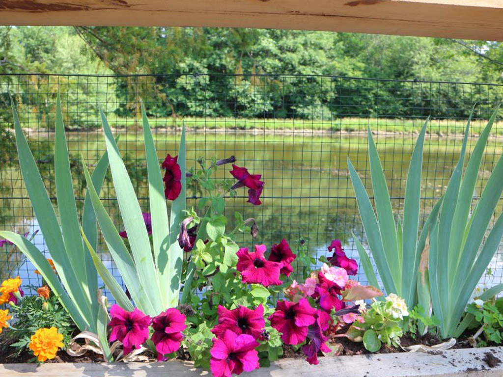 Etangs De Saint Pancras 3