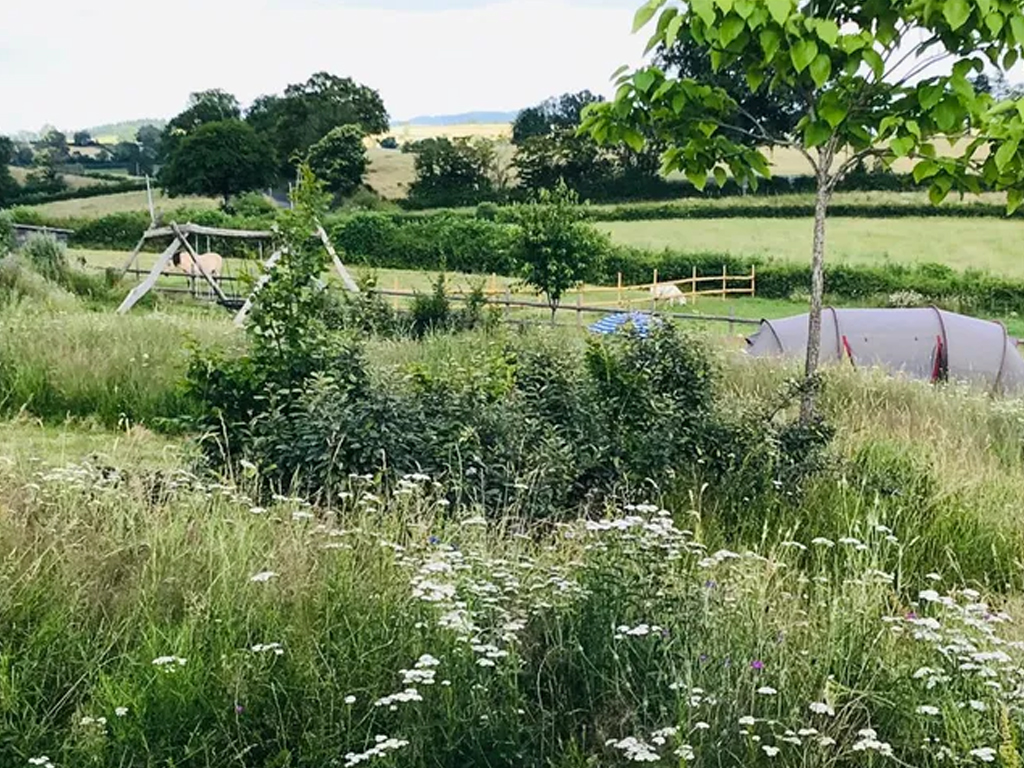 Camping Le Petit Montperroux 6