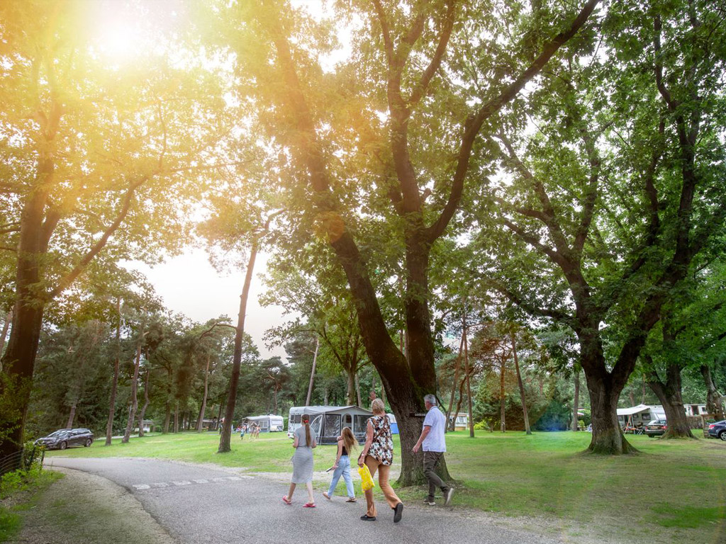 Recreatiecentrum De Goudsberg 5