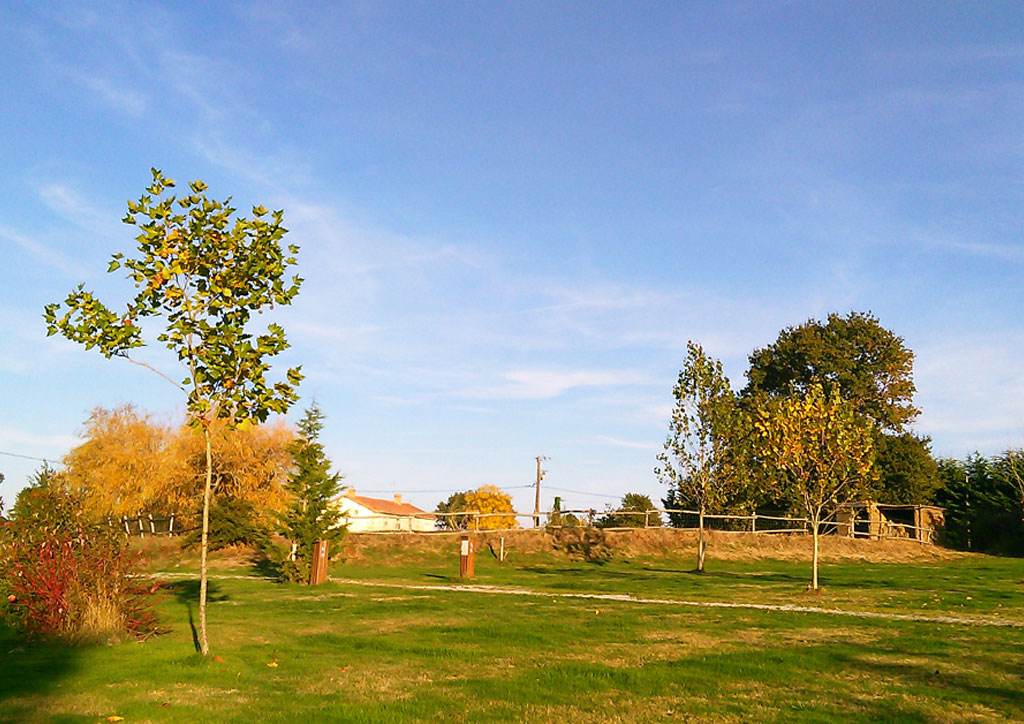 Camping L Oliverie 6