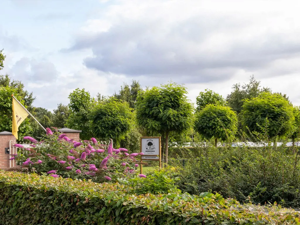 Minicamping Munnikenhof - ANWB-Campingplatz des Jahres 2024