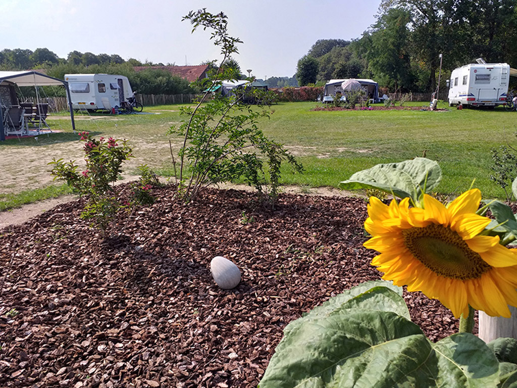 Camping Scharrelnest 8