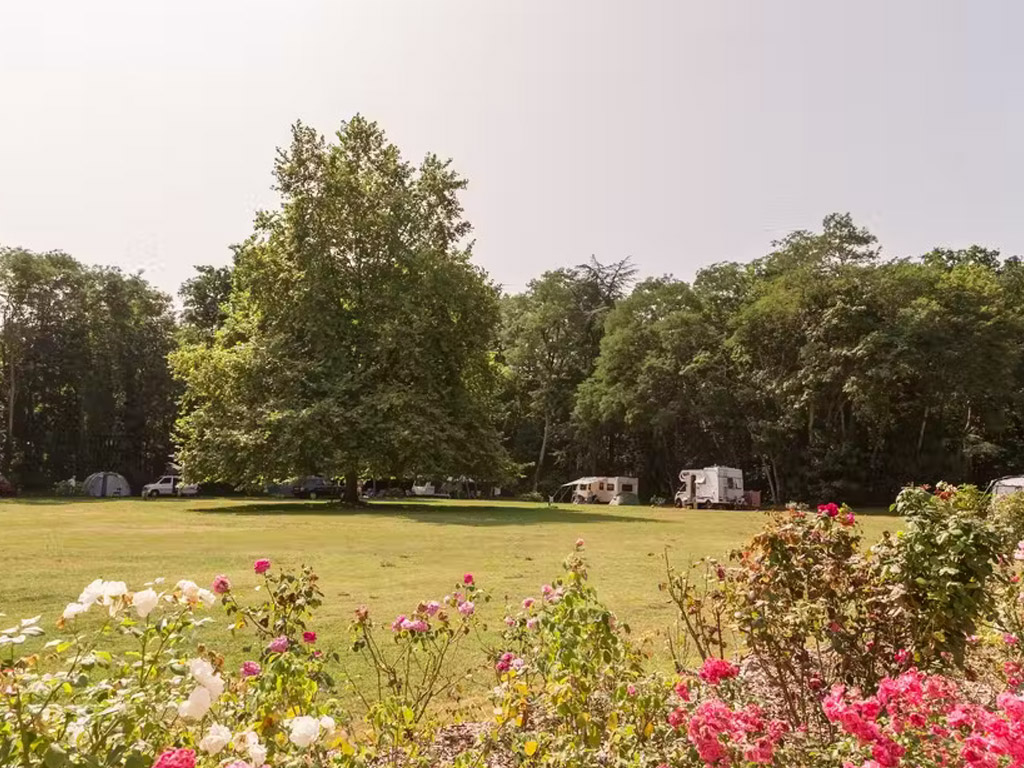 Camping Le Chateau De Chanteloup 3