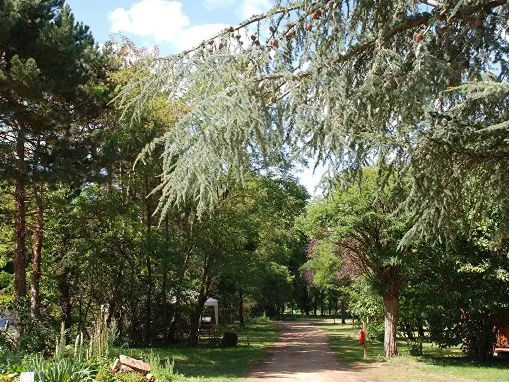 Campingplatz in der Nähe von Le Mans mit beheiztem Außenpool zum Übernachten