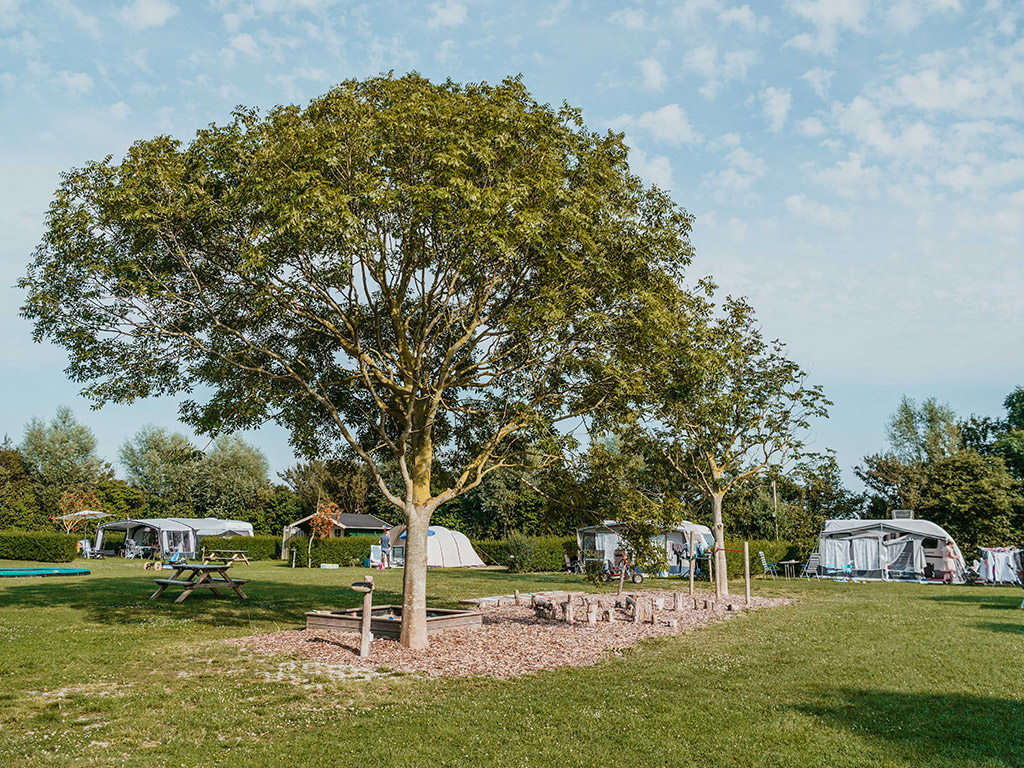 Minicamping Boudewijnskerke 5