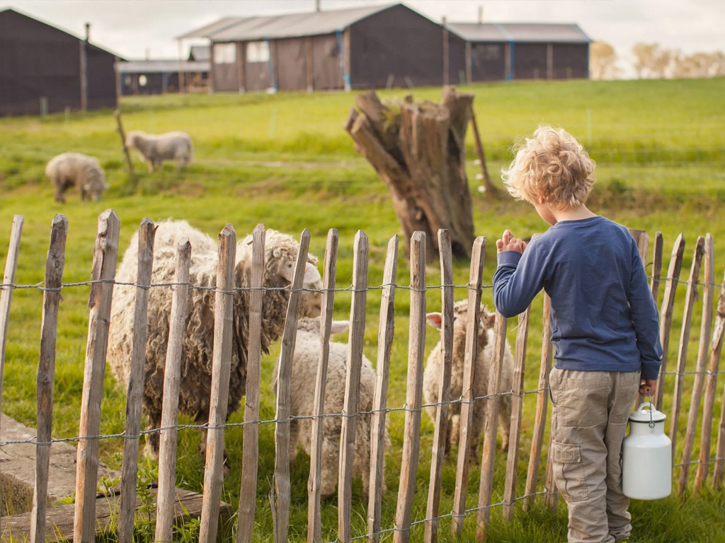 Boerenbed Hoeve Den Overdraght 1