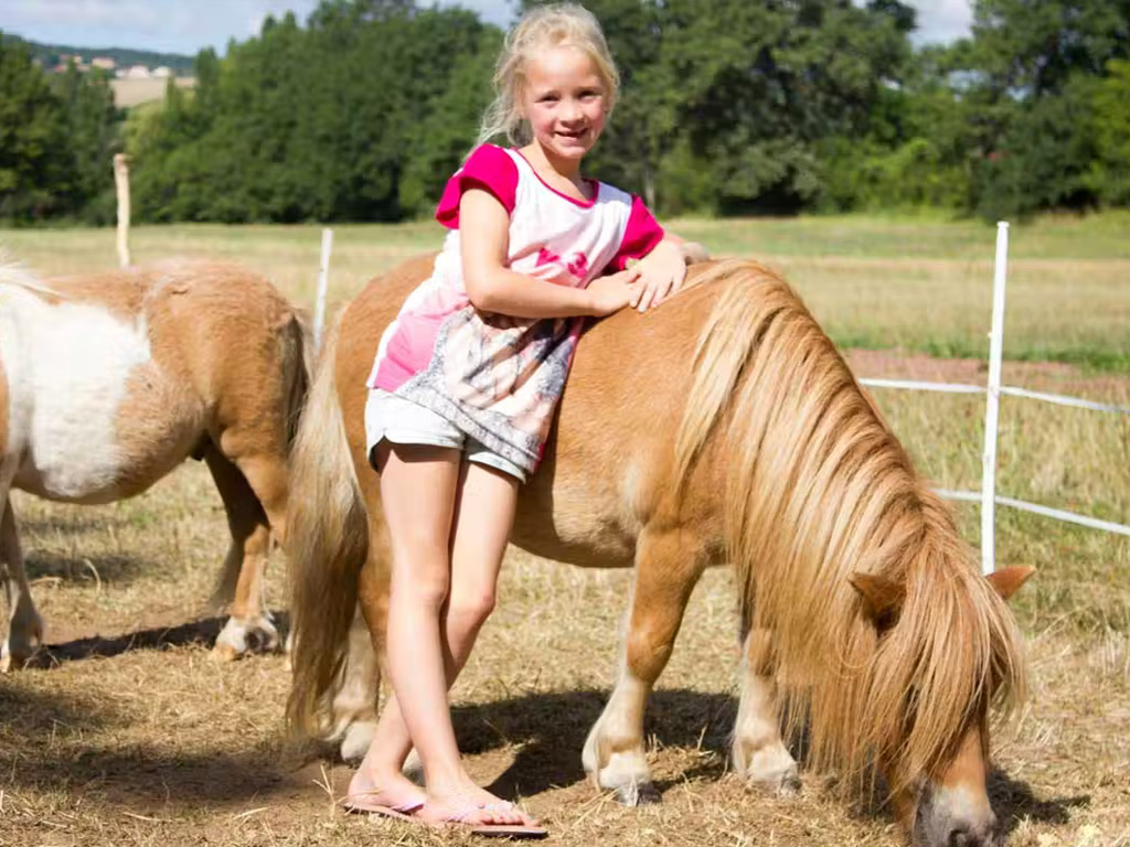 Camping Domaine Des Lilas 5