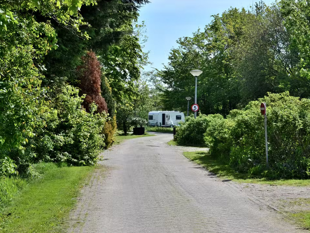 Watersportcamping Yn E Lijte 3