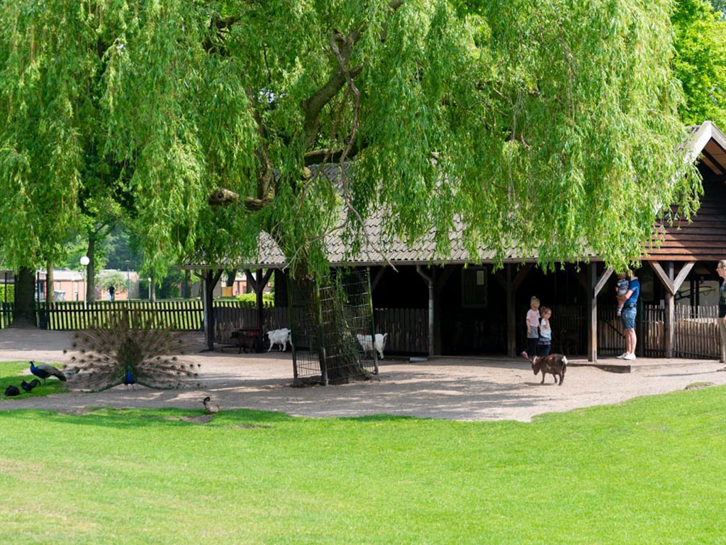 Mini Camping De Noordkant 6