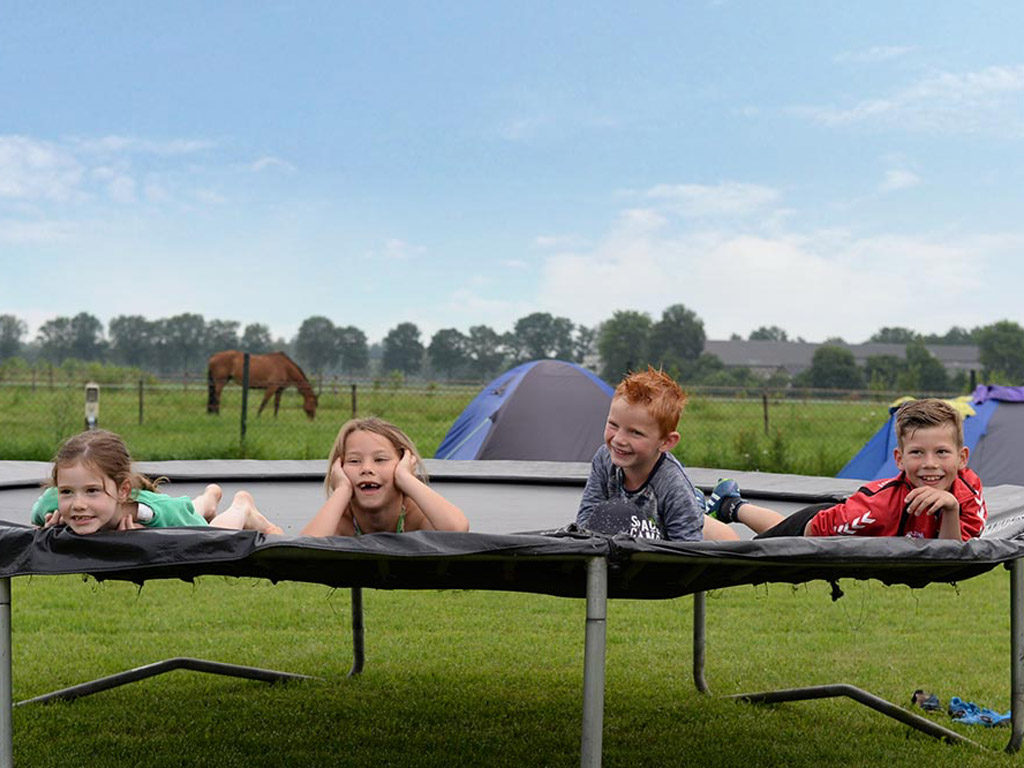 Mini Camping De Noordkant 7