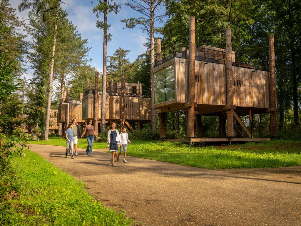 Landal Forest Resort Your Nature 1