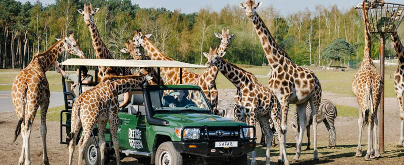 Kamperen Nederland 32 (1) (1) (1)